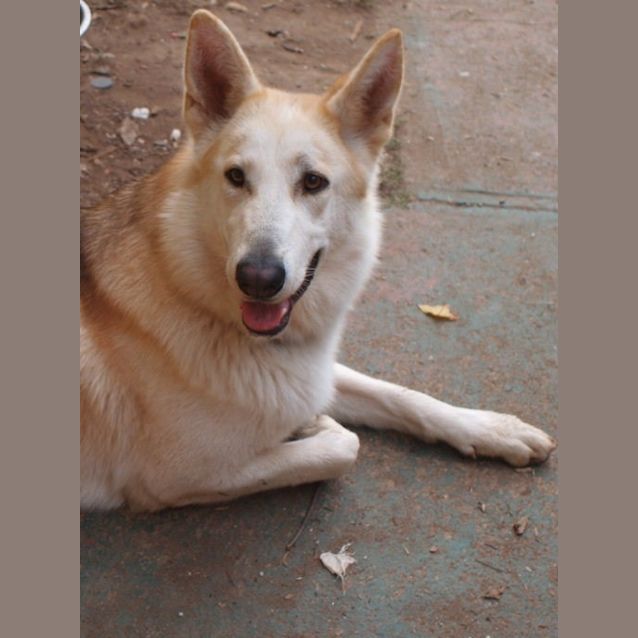 Photo of Lexy On Trial In Her New Home