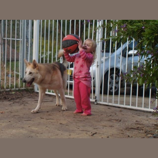 Photo of Lexy On Trial In Her New Home