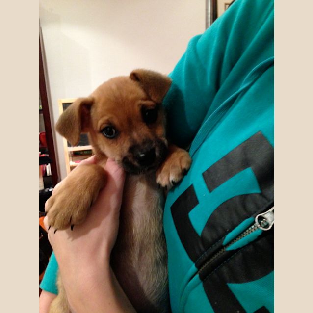 Photo of Lady