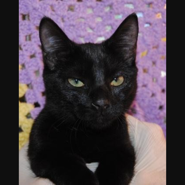 Photo of Sugar
