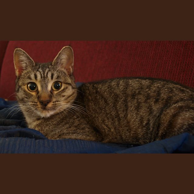 Photo of Samantha (Teenager)