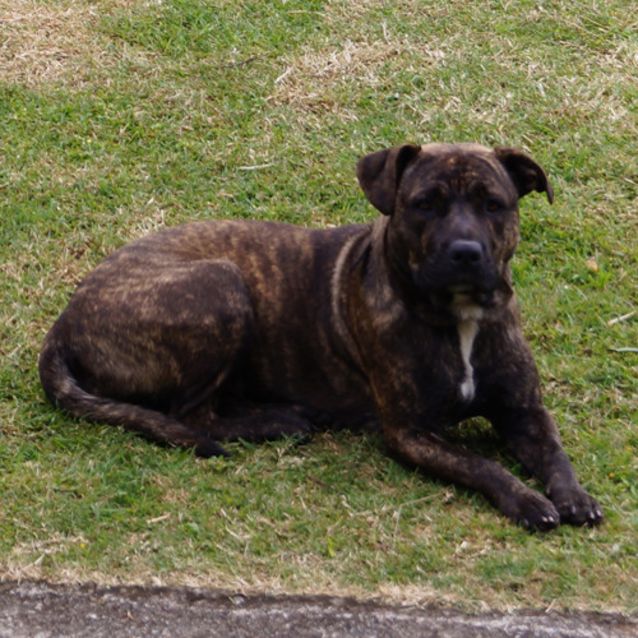 Photo of Cleo