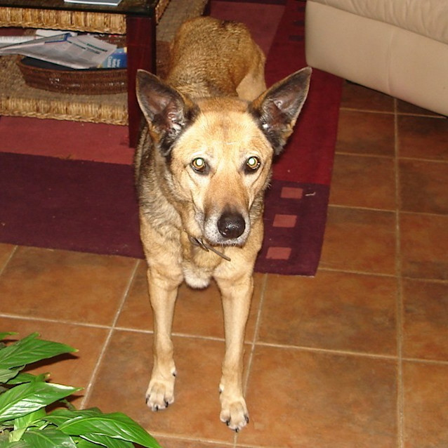 Photo of Harry On Trial In His New Home