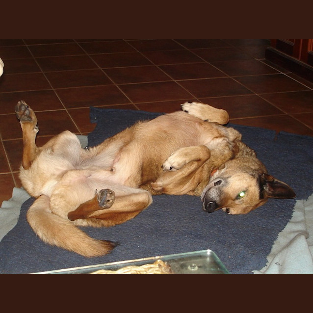 Photo of Harry On Trial In His New Home