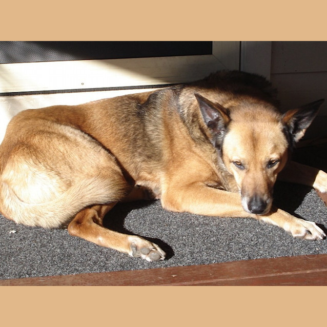 Photo of Harry On Trial In His New Home