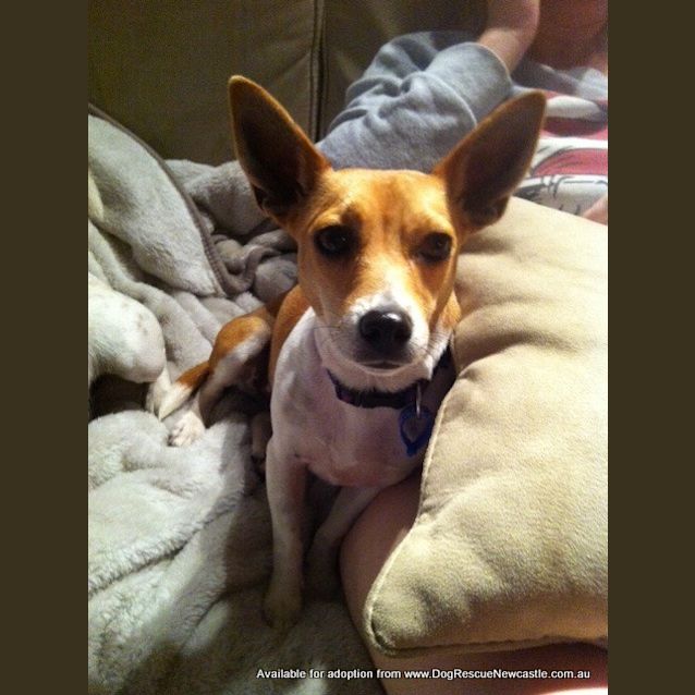 Photo of Betty (On Trial 17/8/13)