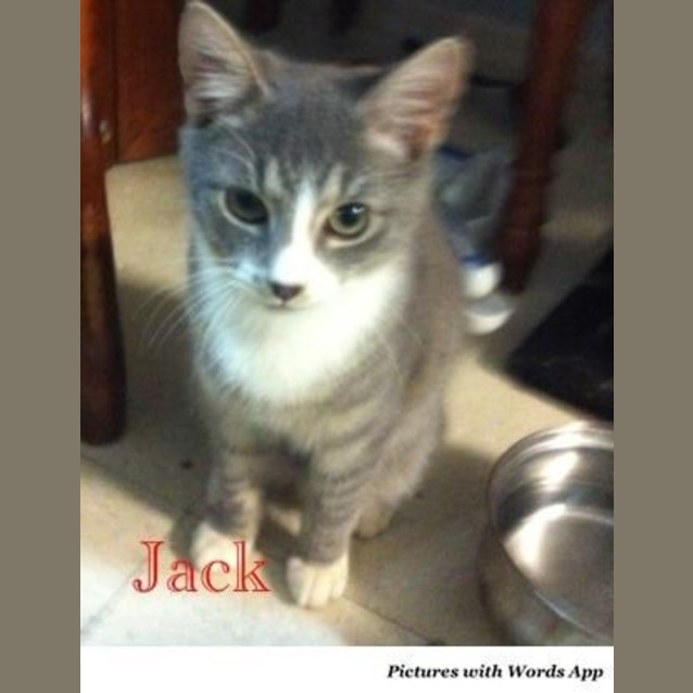 Photo of Jack