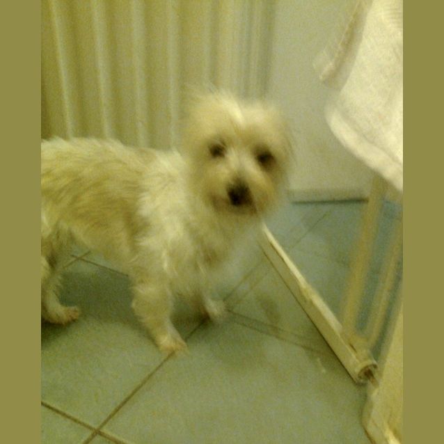 Photo of Jo Jo