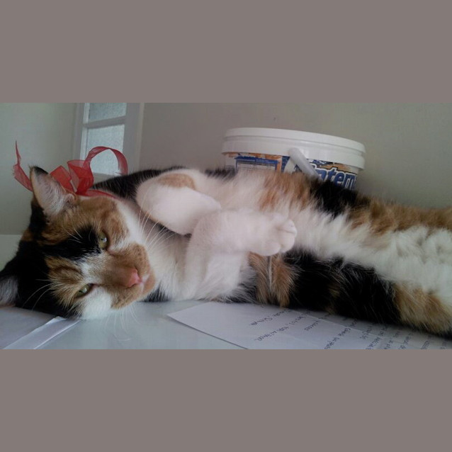 Photo of Wednesday Adams