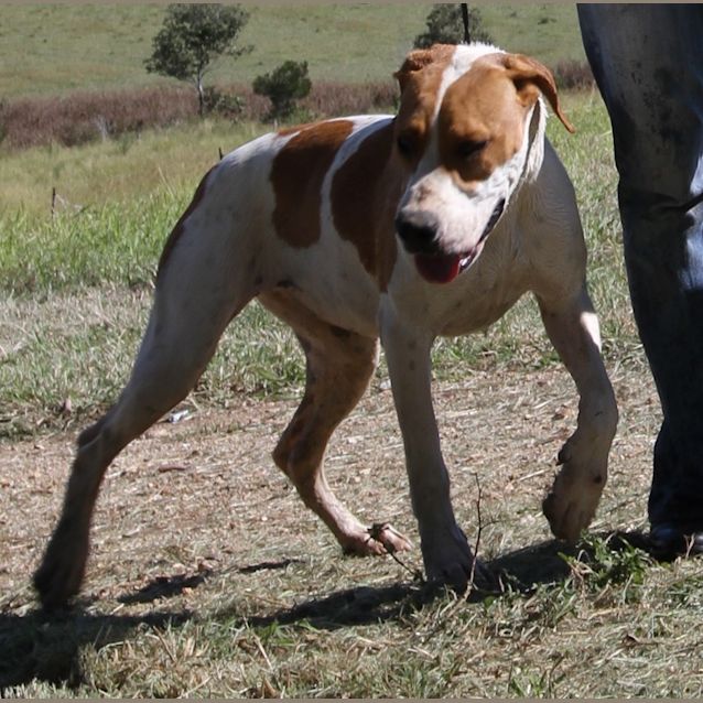 Photo of Rhani