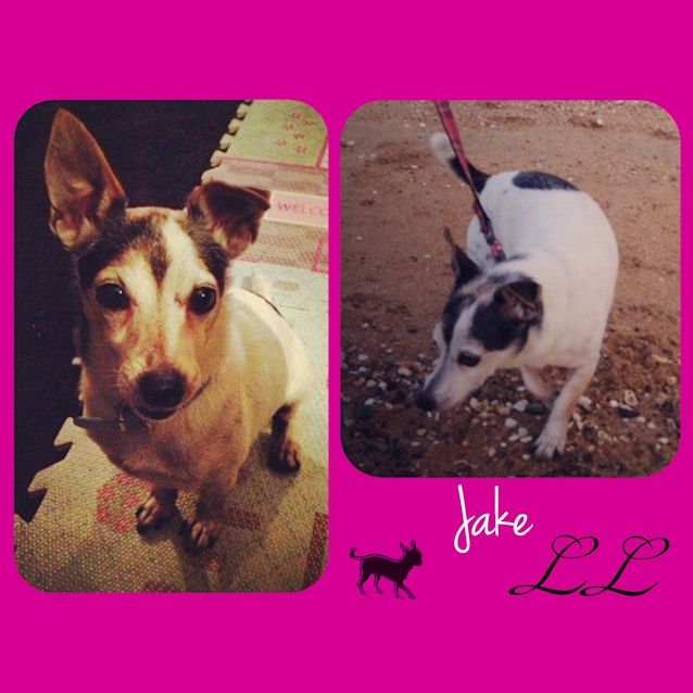 Photo of Jake