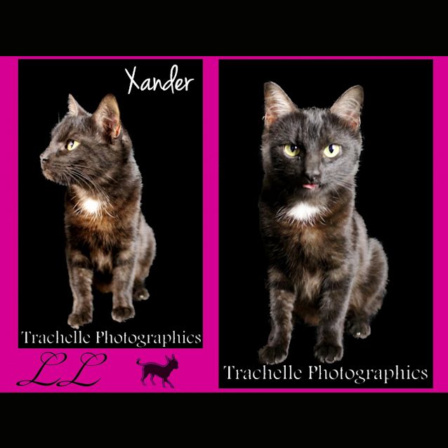 Photo of Xander