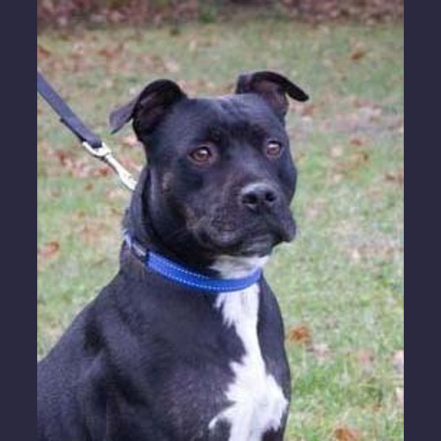 Photo of Jet