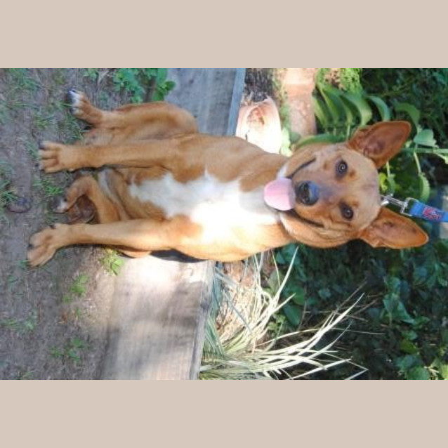 Photo of Holly