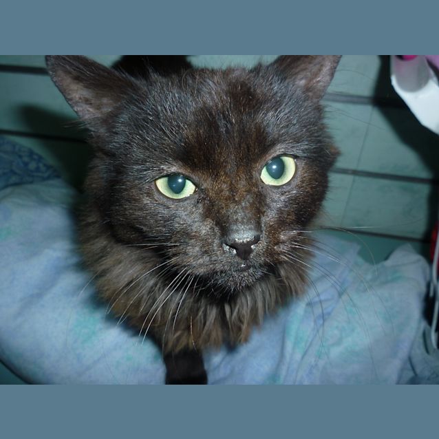 Photo of Angel