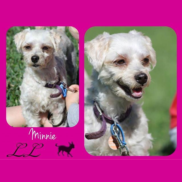 Photo of Minnie
