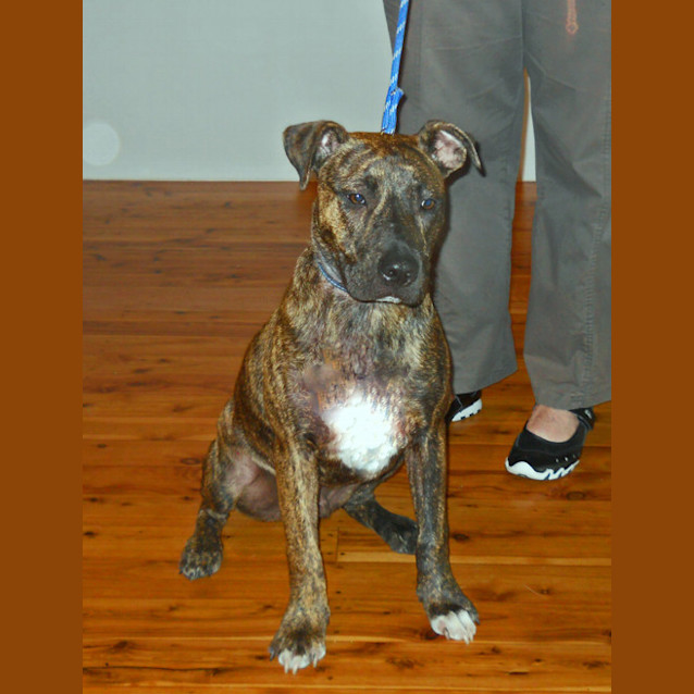 Photo of Bruce