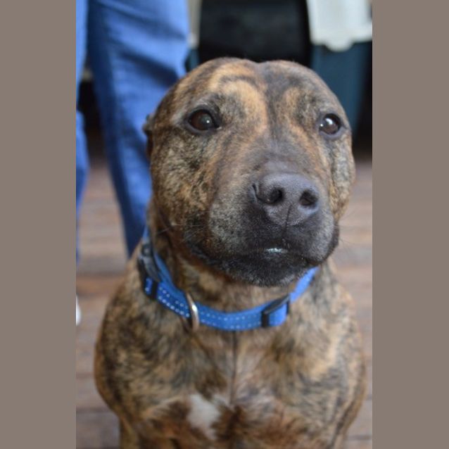 Photo of Gus