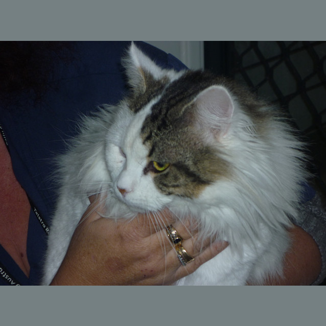 Photo of Jasper