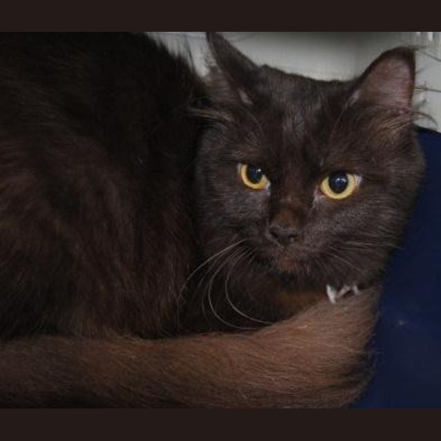 Photo of Little Miss