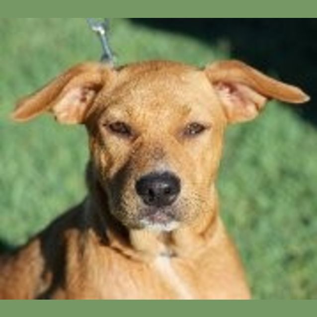 Photo of Dori