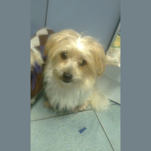 Photo of Monty 