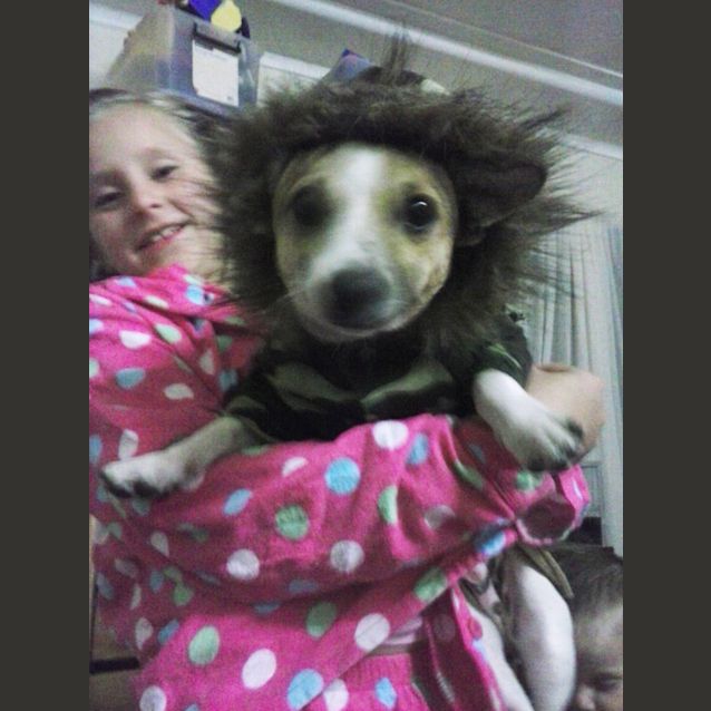 Photo of Loki (On Trial 19/7/13)