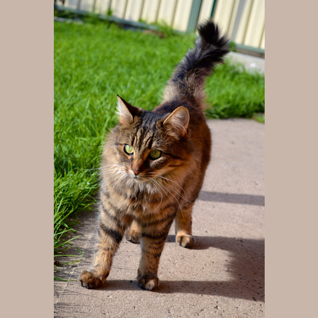 Photo of Amber   Child Whisperer Extraordinaire