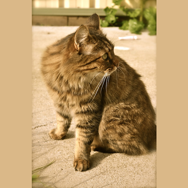 Photo of Amber   Child Whisperer Extraordinaire