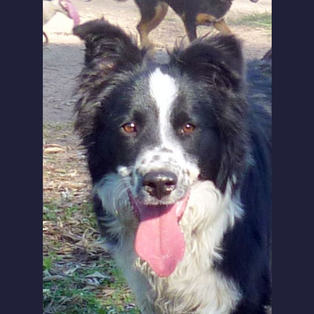 Photo of Bootsie