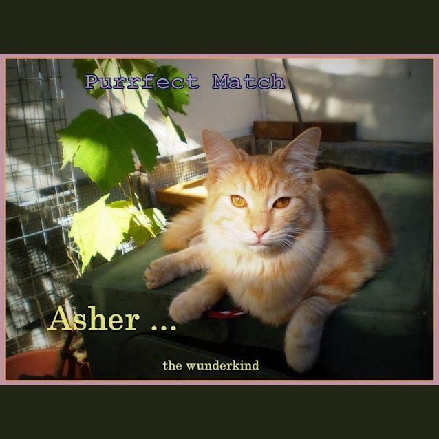 Photo of Asher