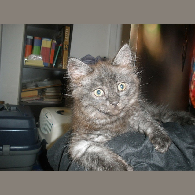 Photo of Buddha