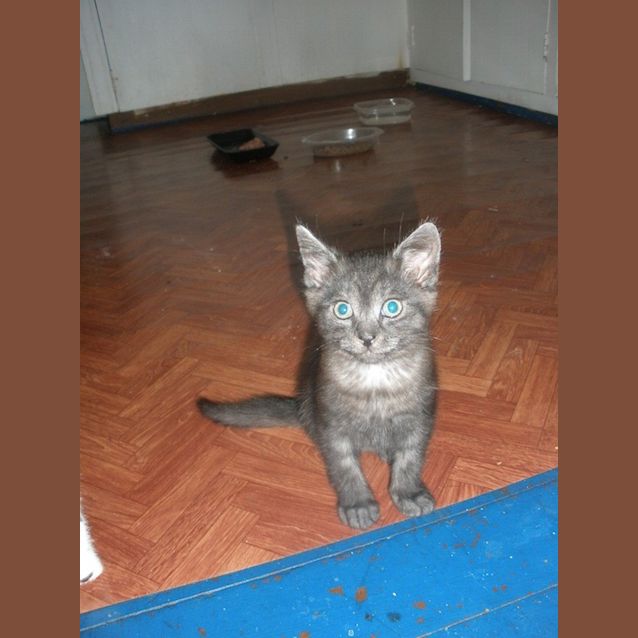 Photo of Preppy