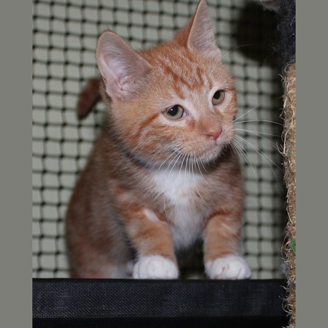 Photo of Sally