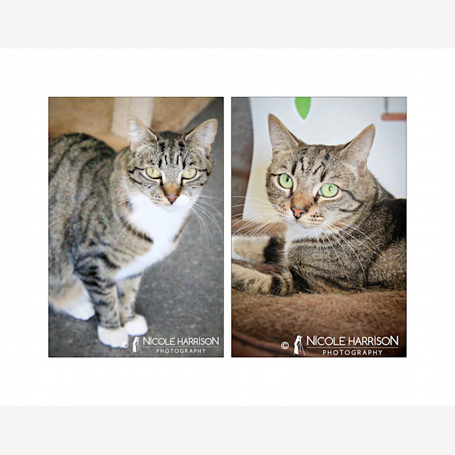 Photo of Tyrone And Gracie