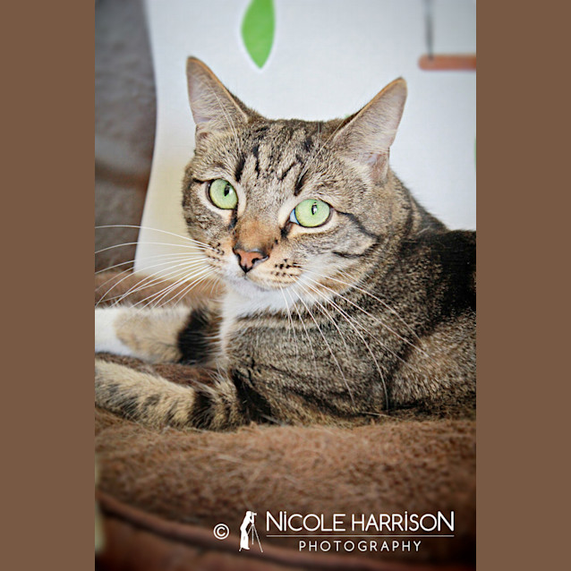 Photo of Tyrone And Gracie