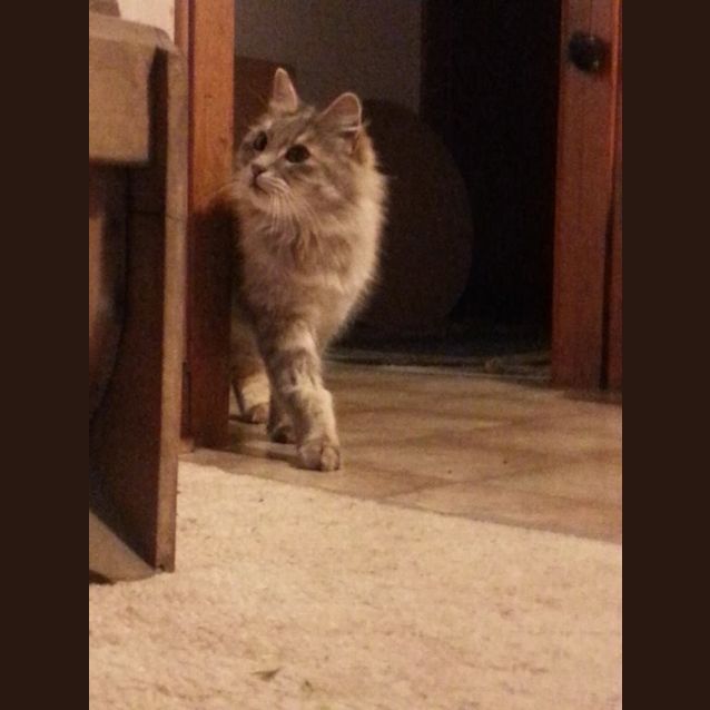 Photo of Sugar