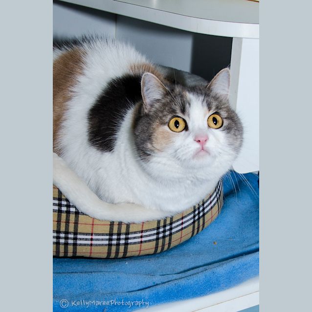 Photo of Charlie