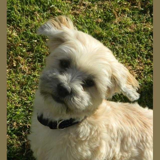 Photo of Rodger *On Trial In His New Home*