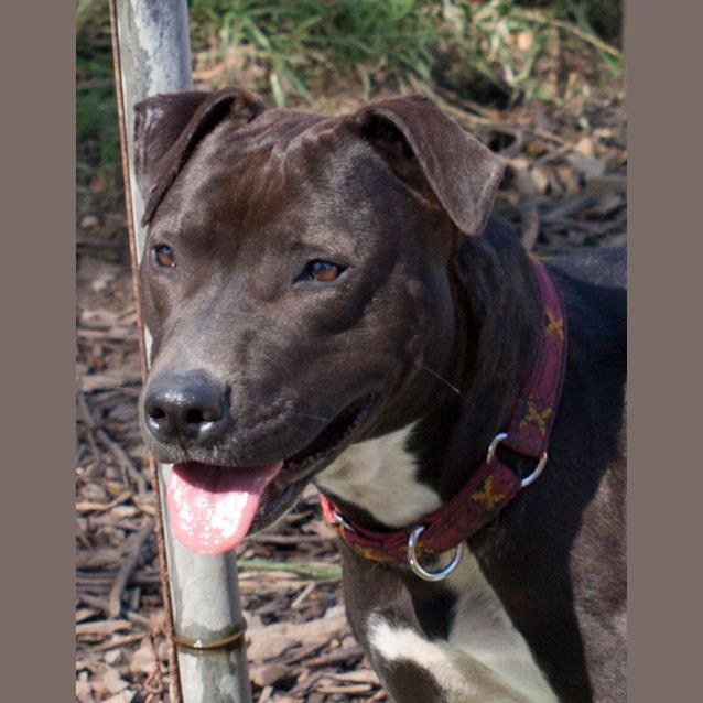 Photo of Cinders