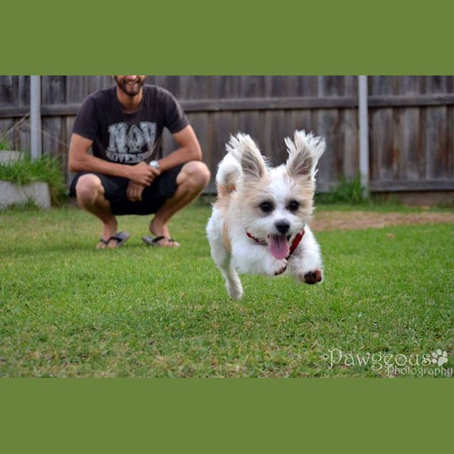 Photo of Max