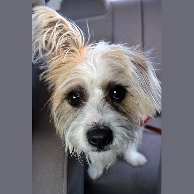 Photo of Max