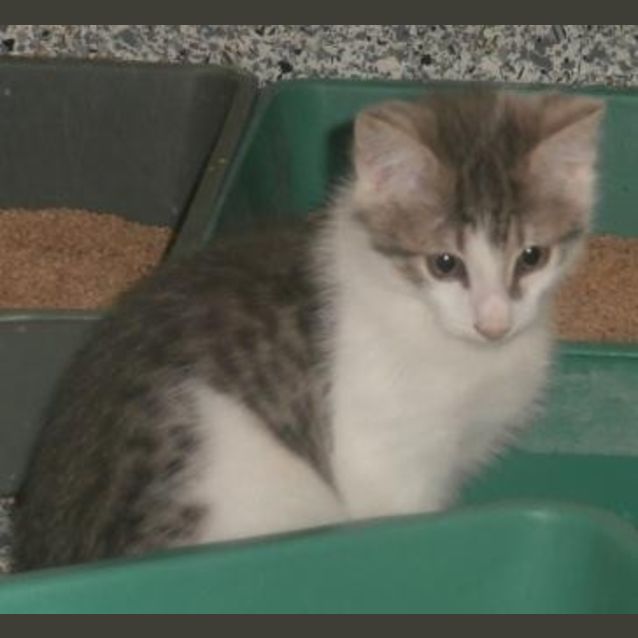 Photo of Hunter