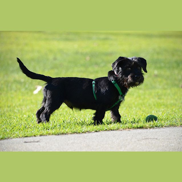 Photo of Jed
