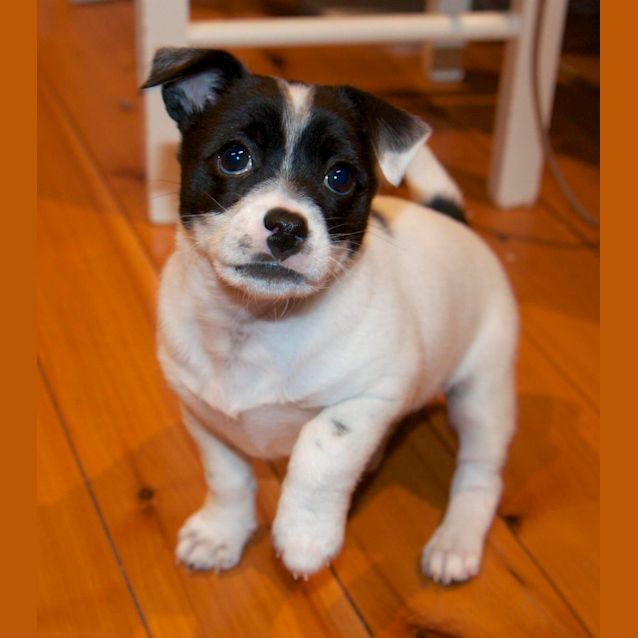 Photo of Levi