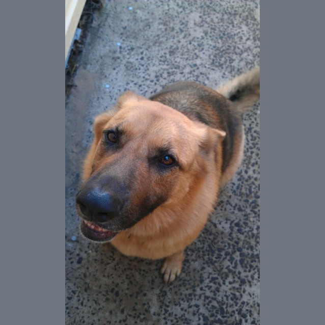 Photo of Belle