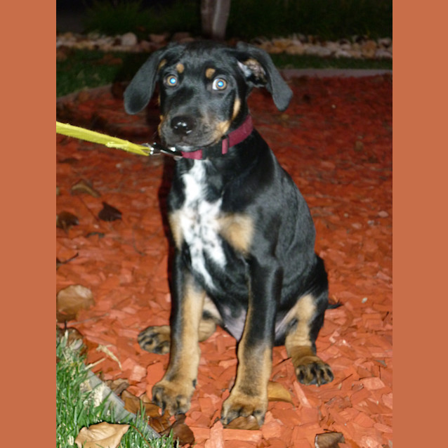 Photo of Geoffrey D435