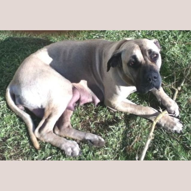 Photo of Narla