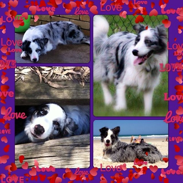 Photo of Rubi