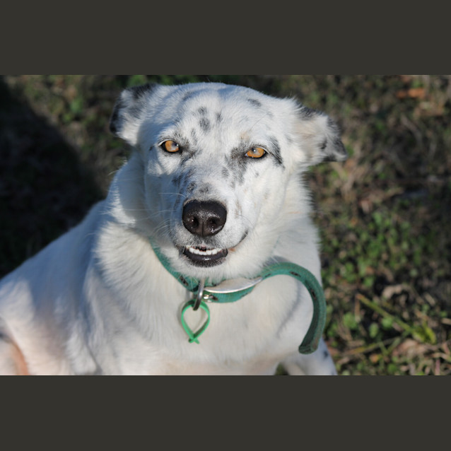 Photo of Zoe